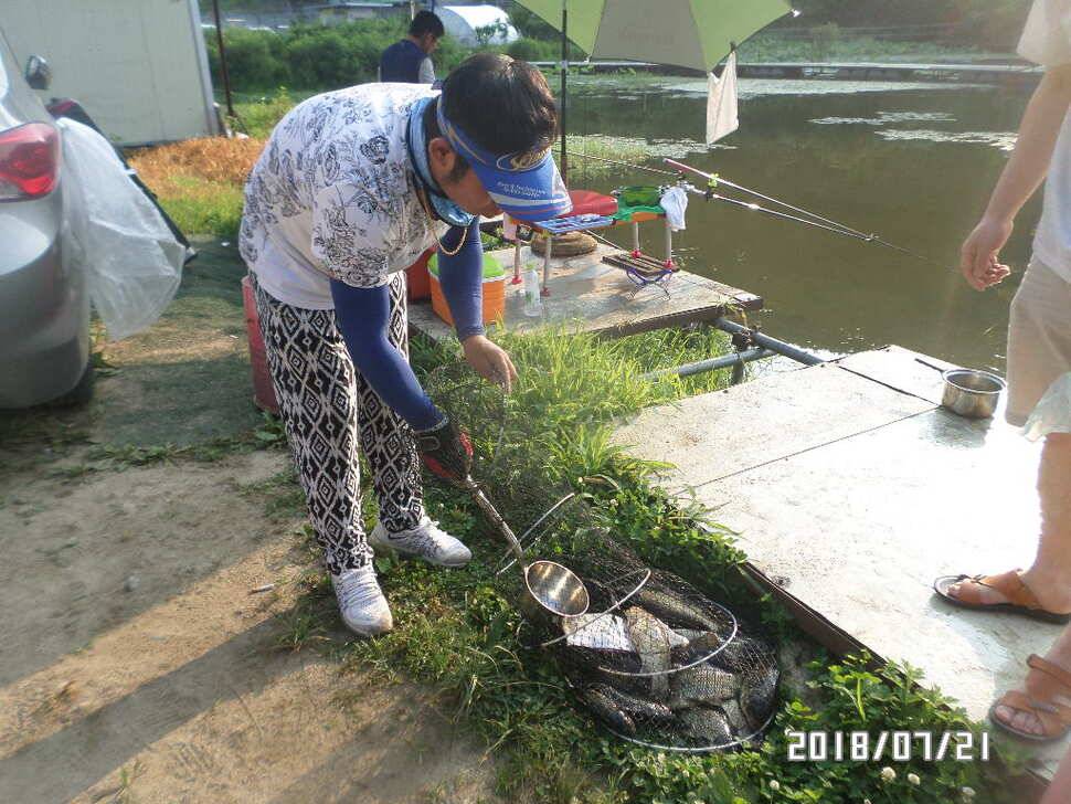 아산신수지 7월 넷째 주말 화보입니다 (유료터정보 - 유료터점주조황)