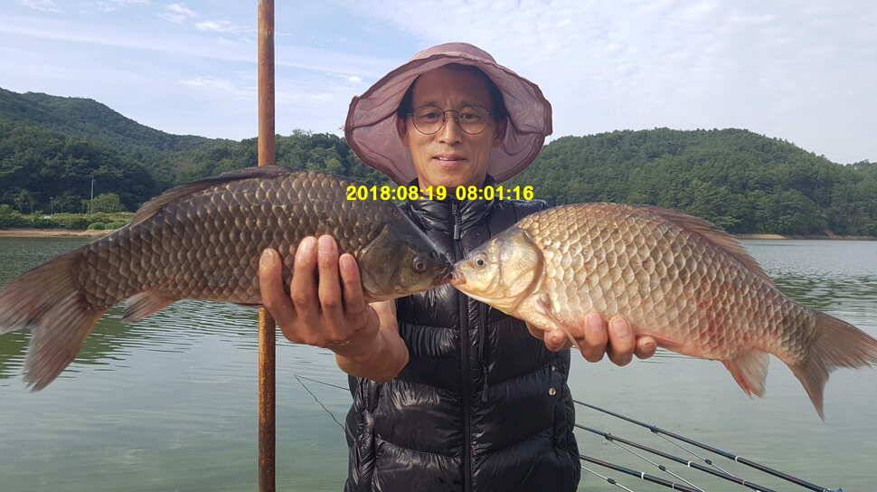 신원낚시터 8월셋쨋주 토종 4짜 조황소식입니다 (유료터정보 - 유료터점주조황)