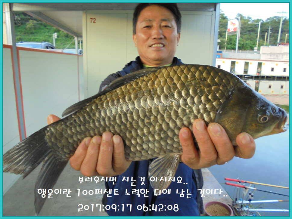 도심속의 작은 쉼터 화성 관리 낚시터입니다 (유료터정보 - 유료터점주조황)