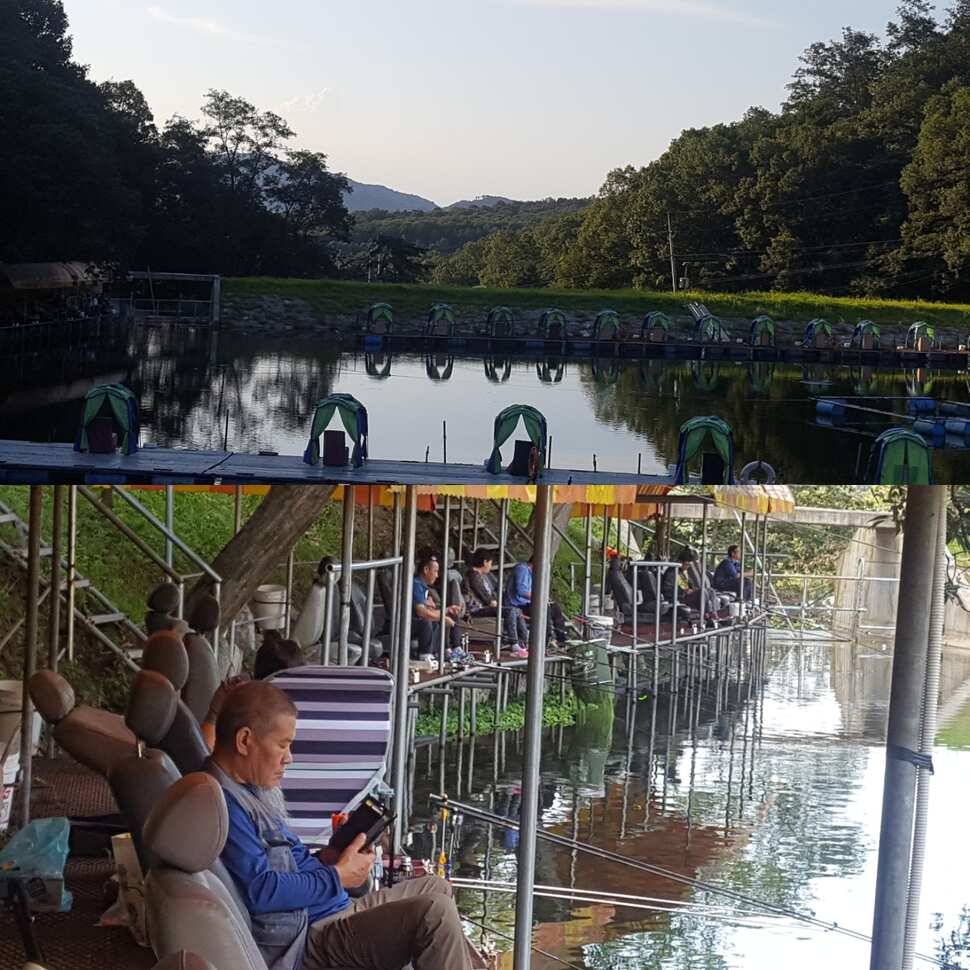호기회 (유료터정보 - 유료터점주조황)