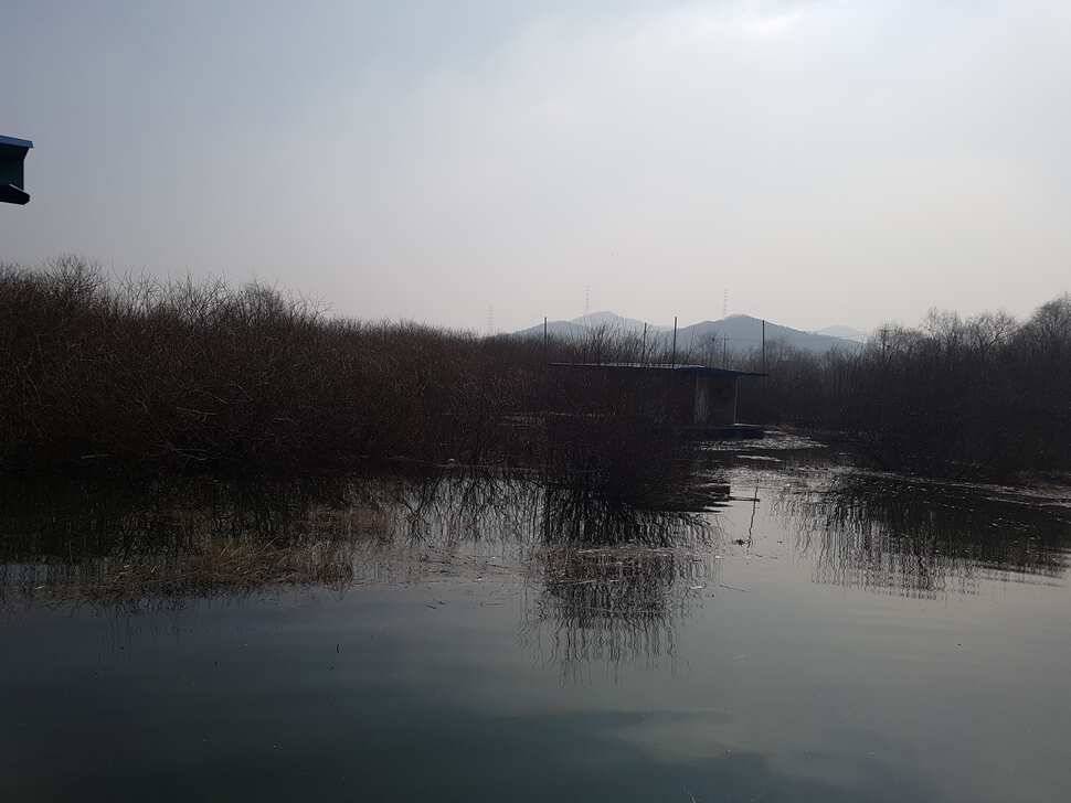 계속좋아지고 있네요 덩어리 (유료터정보 - 유료터점주조황)