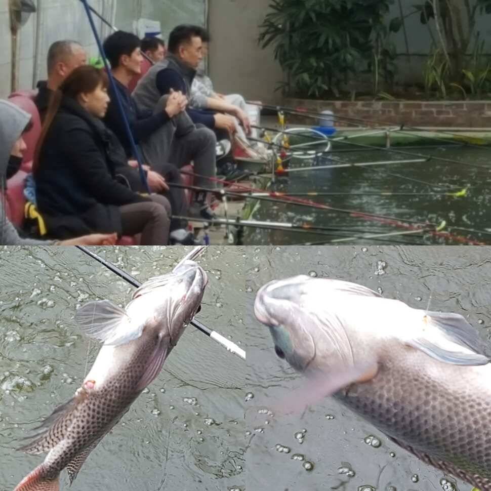 뭔소리야 뜬금없이 (유료터정보 - 유료터점주조황)