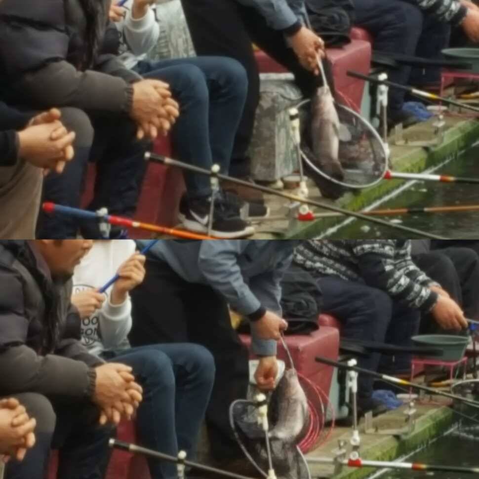 맨손 (유료터정보 - 유료터점주조황)