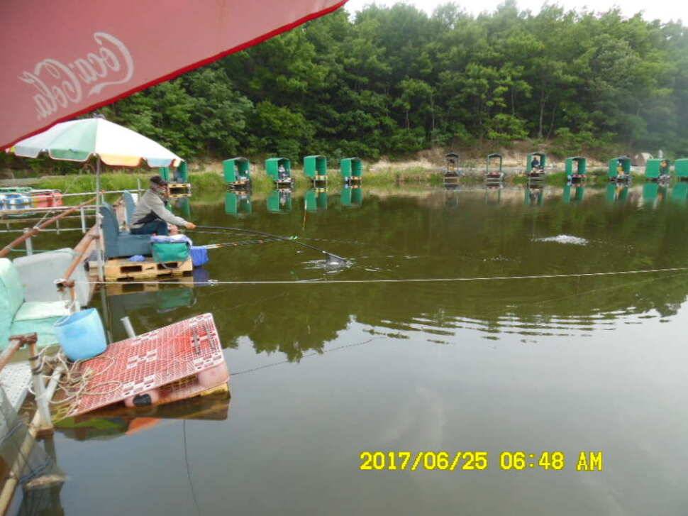 경주동산낚시터에서 초보조사 두분이 각100수 이상 (유료터정보 - 유료터점주조황)