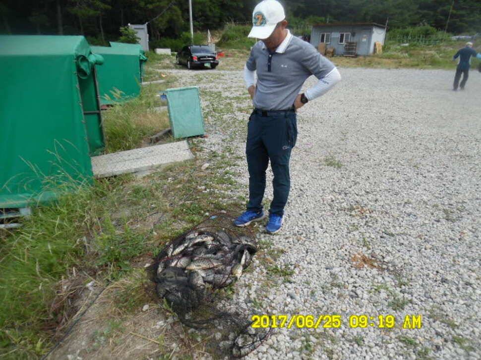 경주동산낚시터에서 초보조사 두분이 각100수 이상 (유료터정보 - 유료터점주조황)