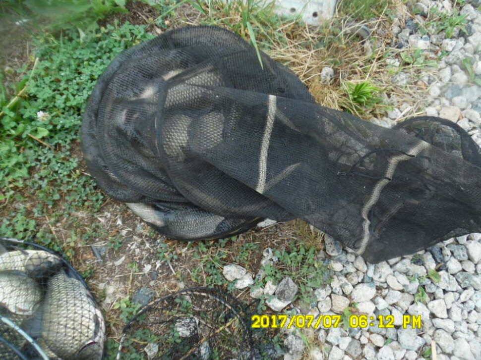 경주동산낚시터에서 미터급 대물을 (유료터정보 - 유료터점주조황)
