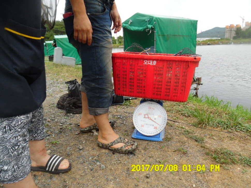 경주동산낚시터에서 미터급 대물을 (유료터정보 - 유료터점주조황)