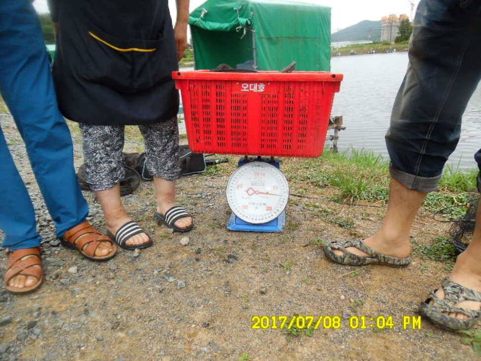 경주동산낚시터에서 미터급 대물을 (유료터정보 - 유료터점주조황)