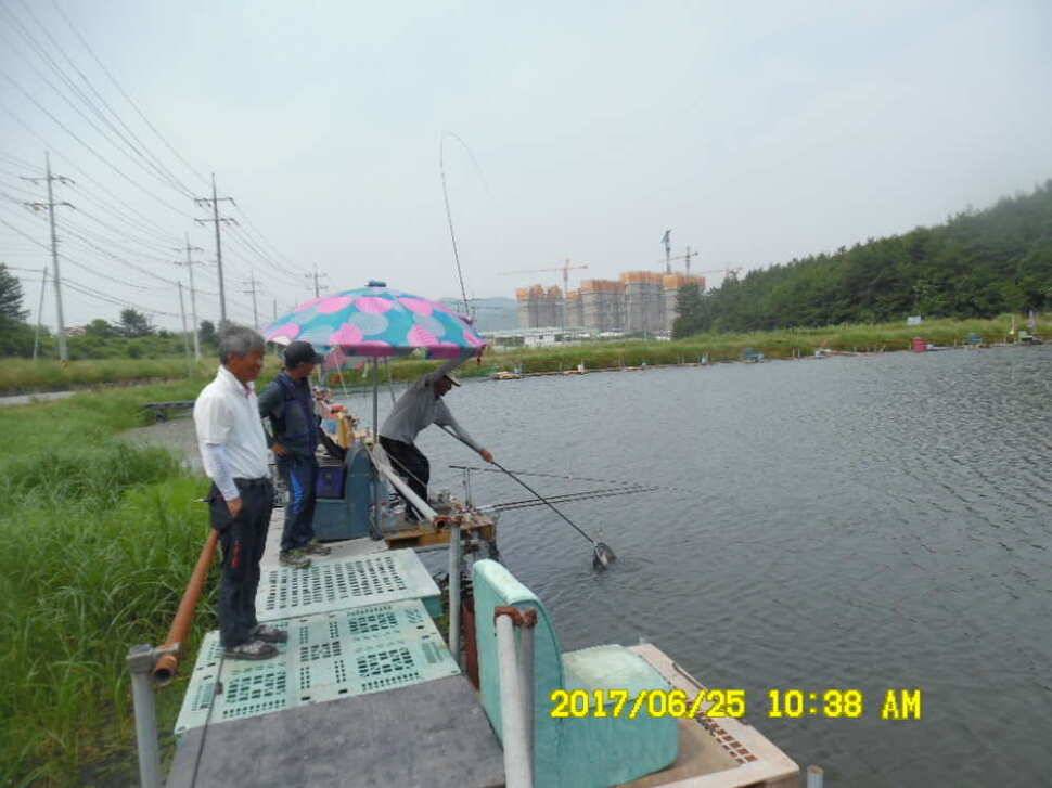 경주동산낚시터에서 초보조사 두분이 각100수 이상 (유료터정보 - 유료터점주조황)