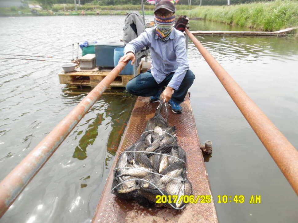 경주동산낚시터에서 초보조사 두분이 각100수 이상 (유료터정보 - 유료터점주조황)