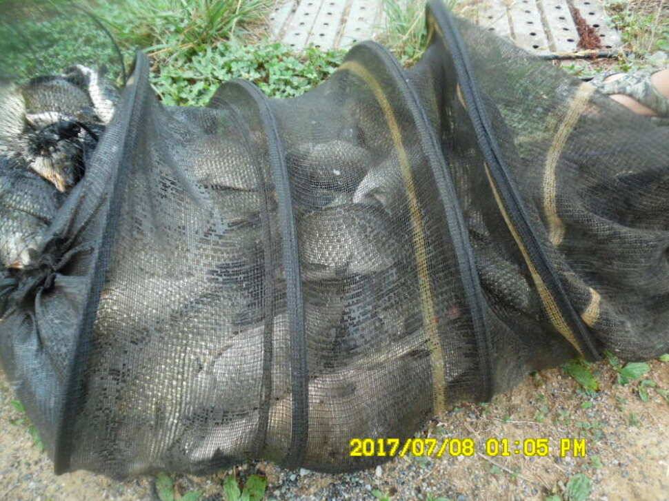 경주동산낚시터에서 미터급 대물을 (유료터정보 - 유료터점주조황)