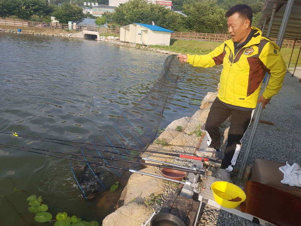 만수위의 거청낚시터 가족낚시터 붕어조황 6월 14 (유료터정보 - 유료터점주조황)