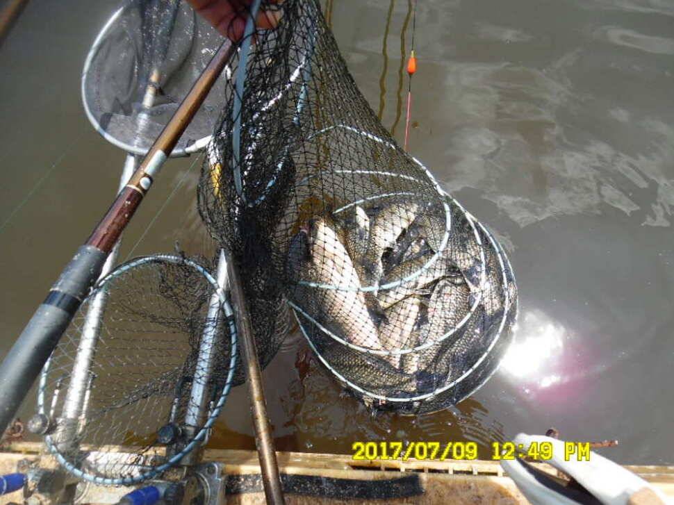 경주동산낚시터에서 미터급 대물을 (유료터정보 - 유료터점주조황)