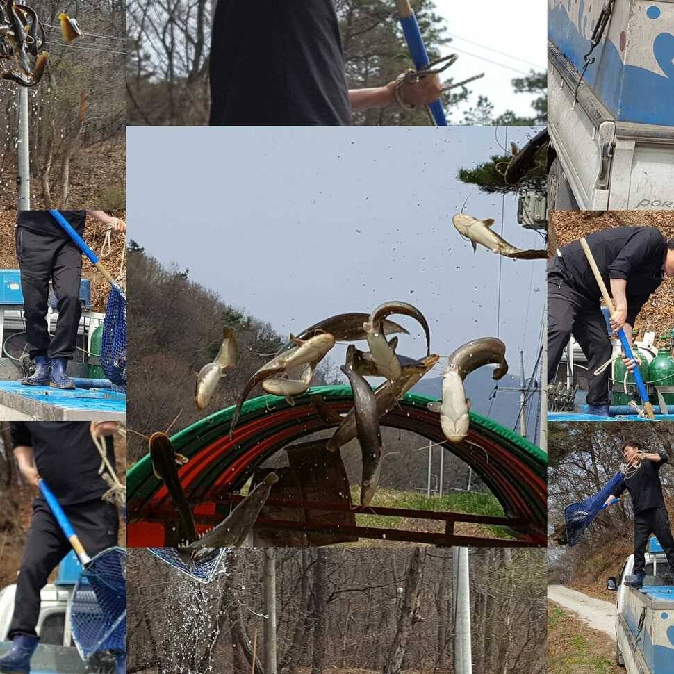 함흥차사 (유료터정보 - 유료터점주조황)