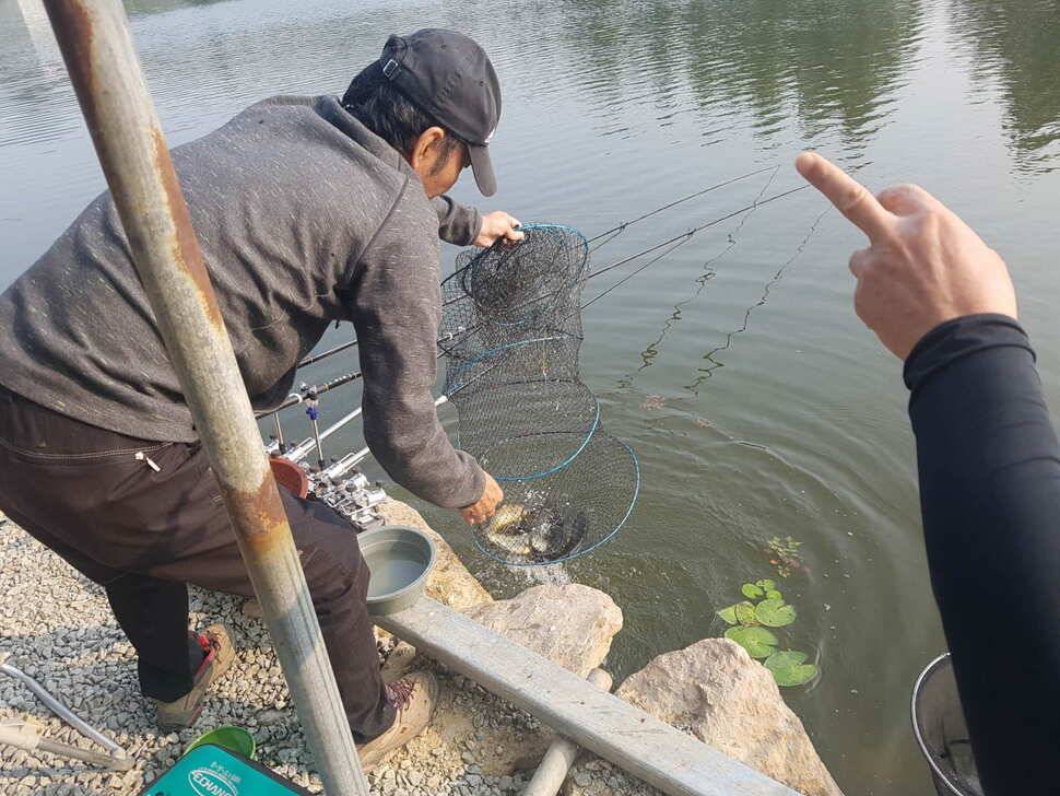 만수위의 거청낚시터 가족낚시터 붕어조황 6월 21 (유료터정보 - 유료터점주조황)