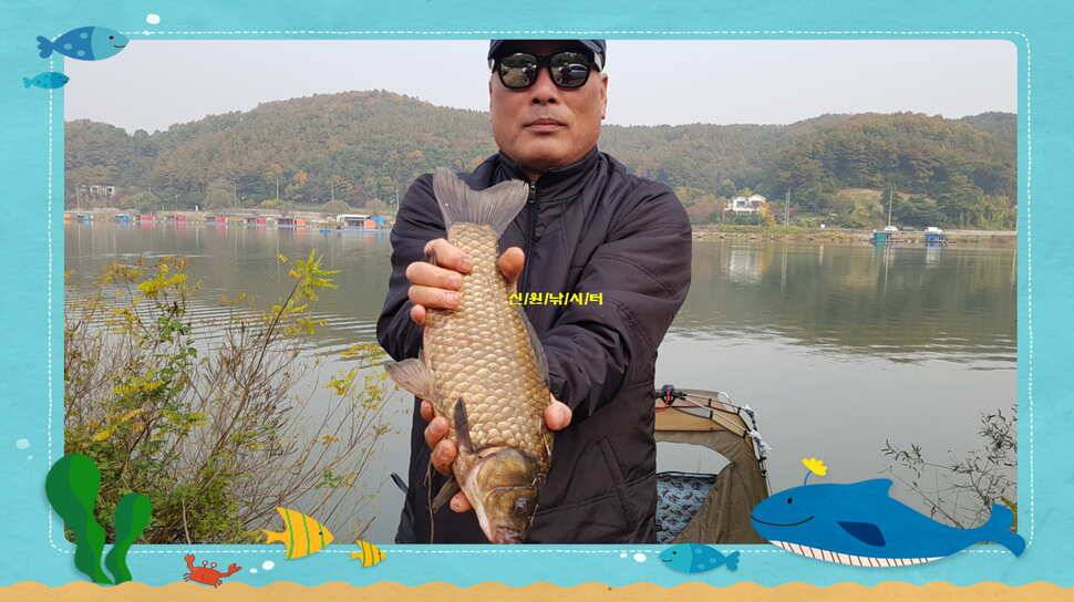 신원낚시터 10월 마지막주 조황소식과 방류 동영상 입니다 (유료터정보 - 유료터점주조황)