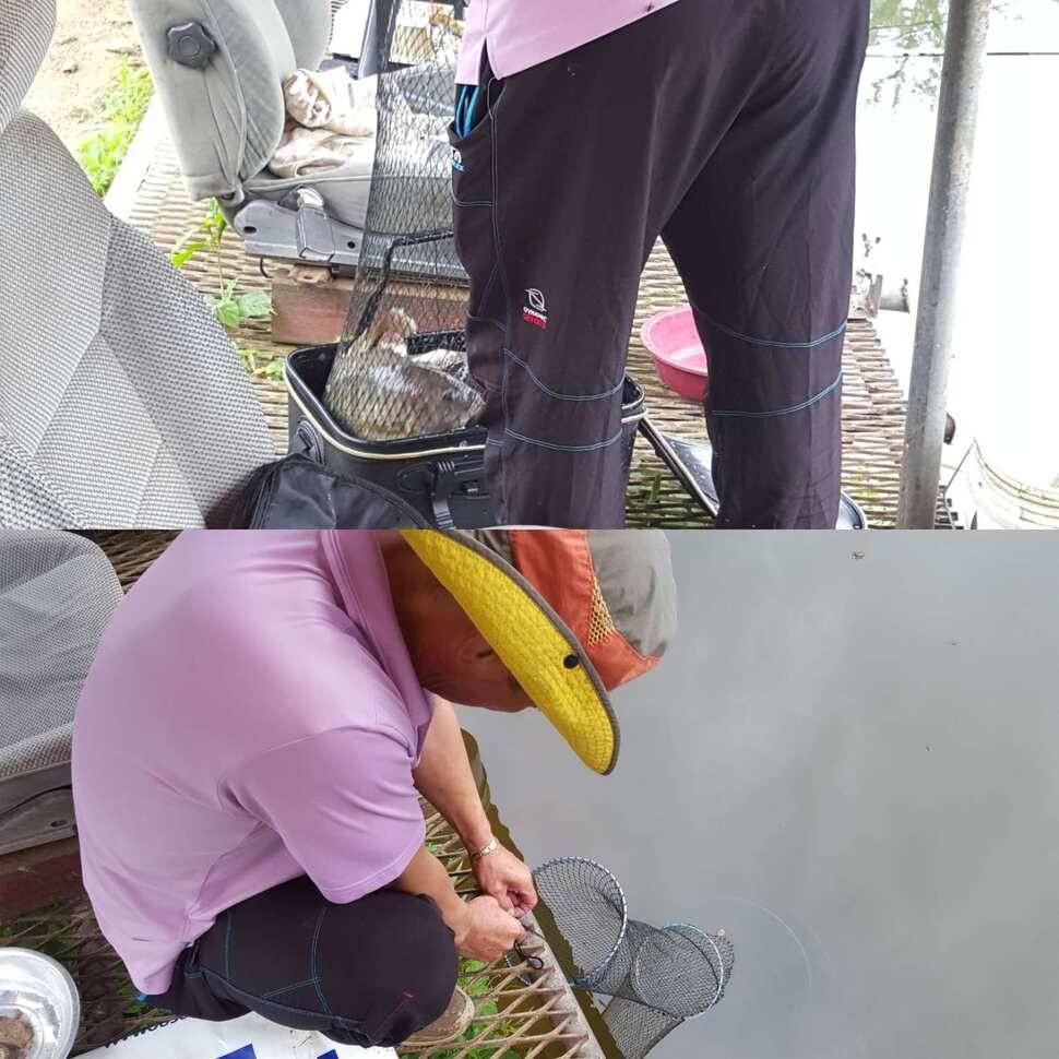강심장 (유료터정보 - 유료터점주조황)