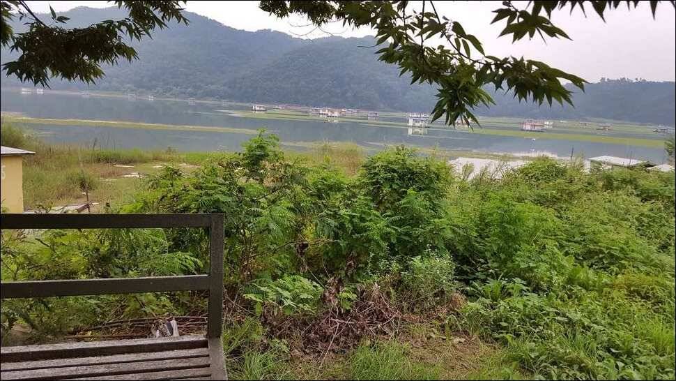 170829 송전지 서울집 조황 (유료터정보 - 유료터점주조황)