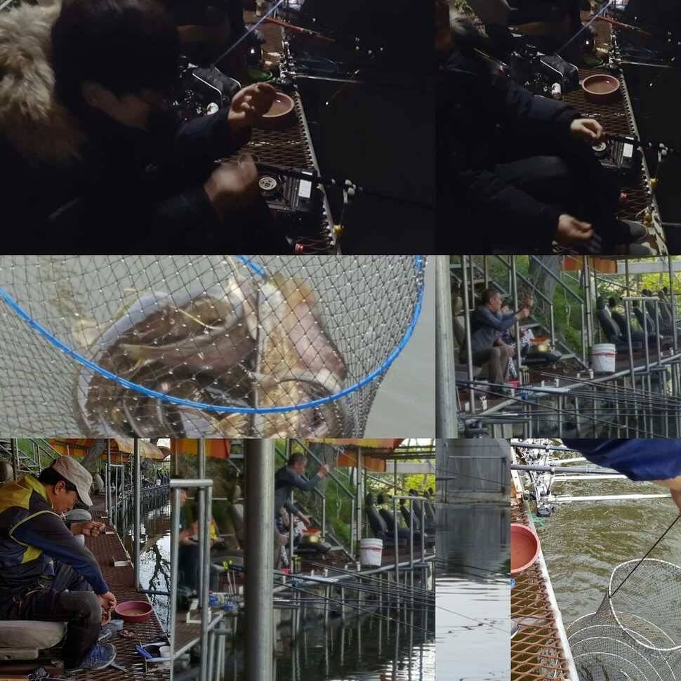 학수고대 (유료터정보 - 유료터점주조황)