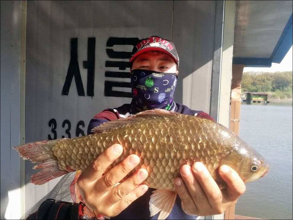 170429 송전지 서울집 조황 (유료터정보 - 유료터점주조황)