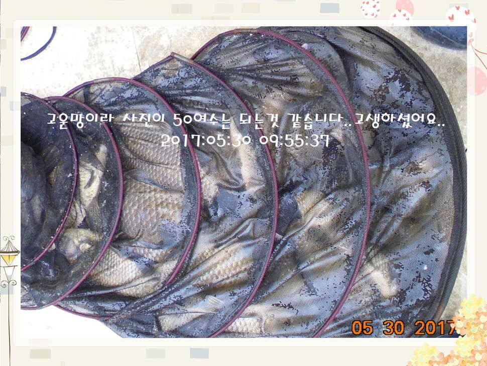 도심속의 작은 쉼터 화성 관리 낚시터입니다 (유료터정보 - 유료터점주조황)