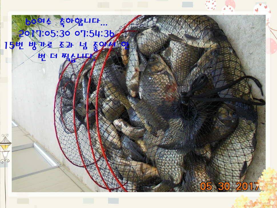 도심속의 작은 쉼터 화성 관리 낚시터입니다 (유료터정보 - 유료터점주조황)