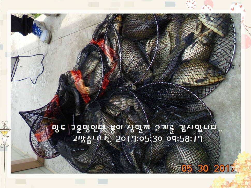 도심속의 작은 쉼터 화성 관리 낚시터입니다 (유료터정보 - 유료터점주조황)