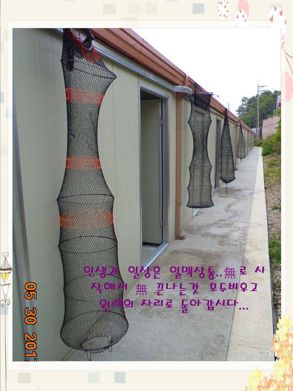 도심속의 작은 쉼터 화성 관리 낚시터입니다 (유료터정보 - 유료터점주조황)