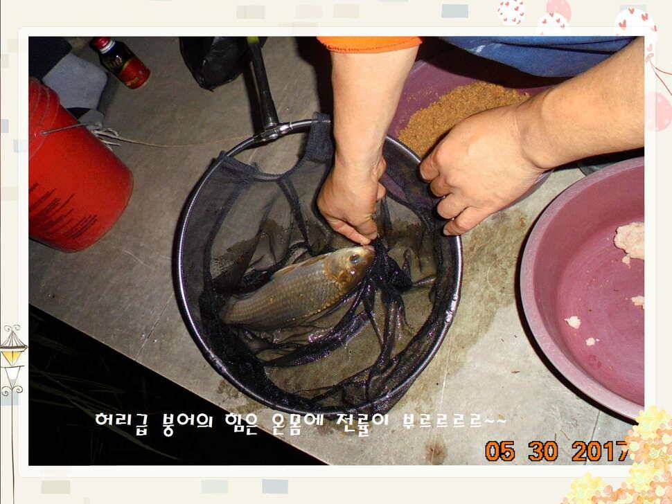도심속의 작은 쉼터 화성 관리 낚시터입니다 (유료터정보 - 유료터점주조황)