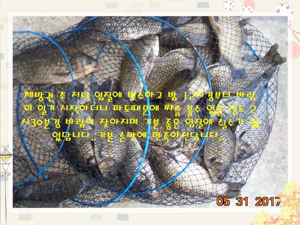 도심속의 작은 쉼터 화성 관리 낚시터입니다 (유료터정보 - 유료터점주조황)