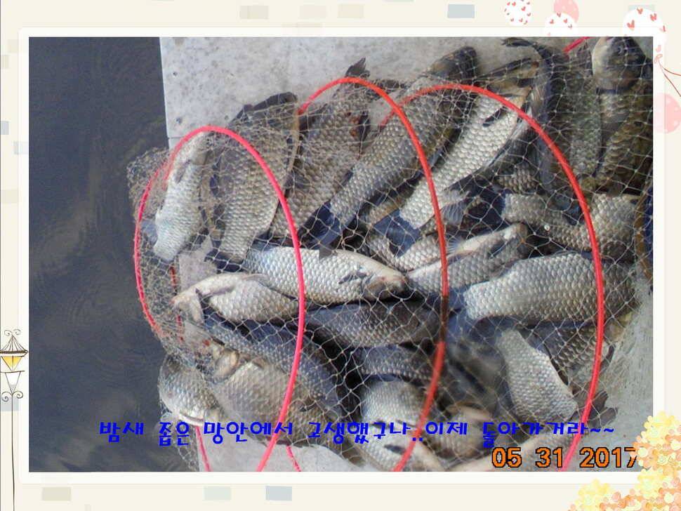 도심속의 작은 쉼터 화성 관리 낚시터입니다 (유료터정보 - 유료터점주조황)