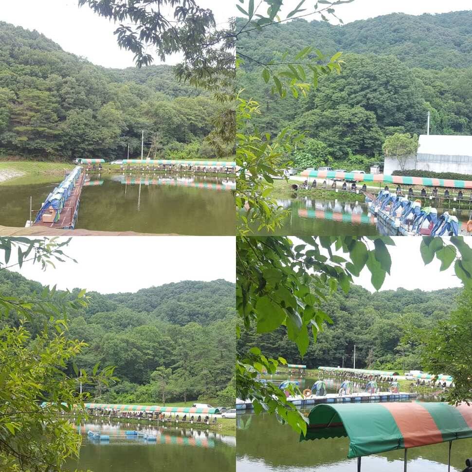 전무후무 (유료터정보 - 유료터점주조황)