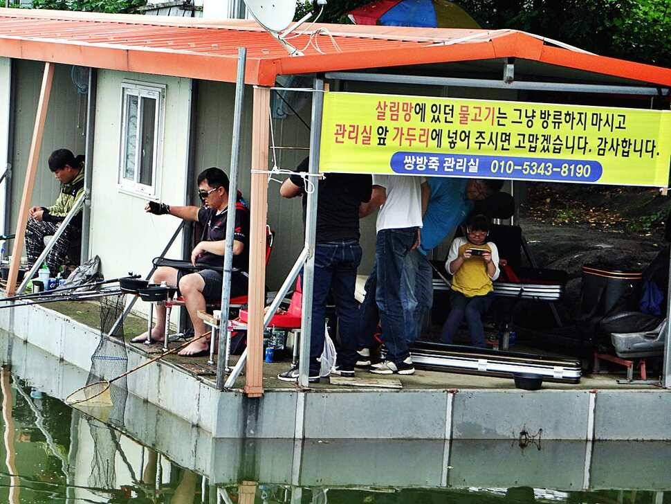 경기도 포천 쌍방죽낚시터 7월 세째주 소식 (유료터정보 - 유료터점주조황)