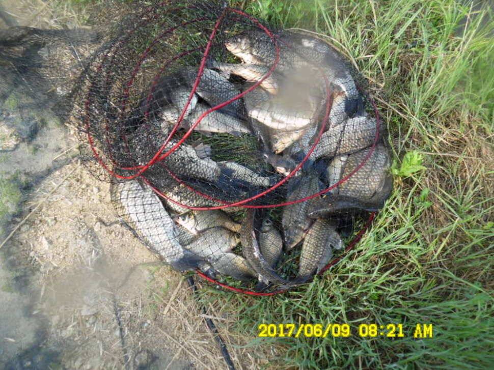 경주 동산낚시터 지난주 조황 (유료터정보 - 유료터점주조황)