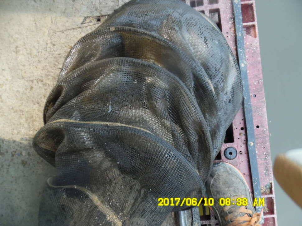 경주 동산낚시터 지난주 조황 (유료터정보 - 유료터점주조황)