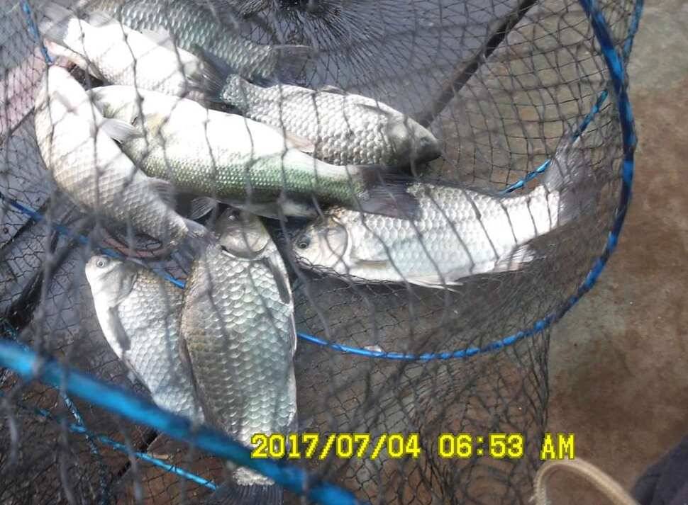 반제지 4짜월척과 조황정보입니다 (유료터정보 - 유료터점주조황)