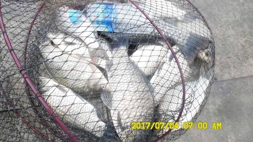 반제지 4짜월척과 조황정보입니다 (유료터정보 - 유료터점주조황)