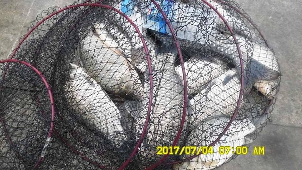 반제지 4짜월척과 조황정보입니다 (유료터정보 - 유료터점주조황)