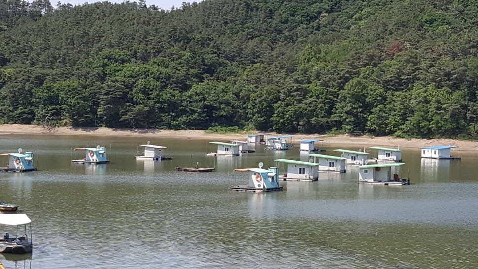 여주 어우실지 좌대별 수심안내 (유료터정보 - 유료터점주조황)