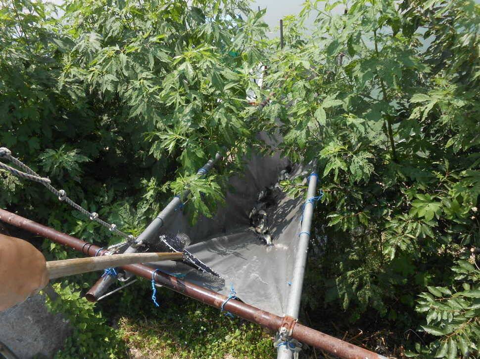 조황소식수상좌대이벤트 (유료터정보 - 유료터점주조황)