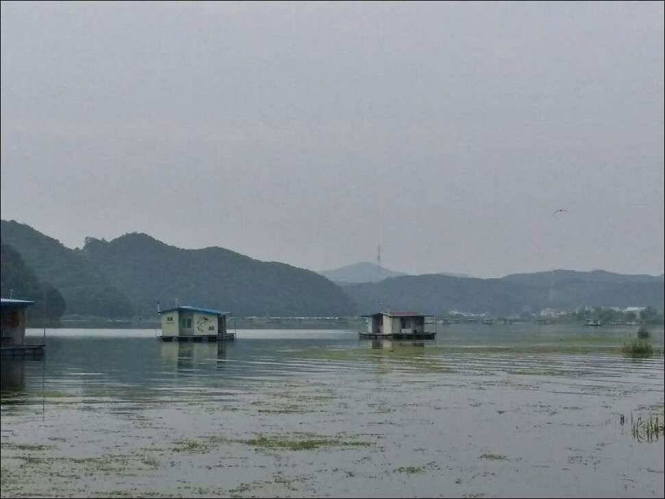 170728 송전지 서울집 조황 (유료터정보 - 유료터점주조황)