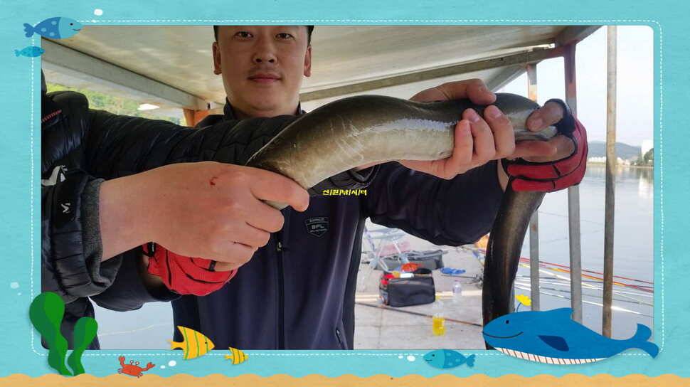 5월 셋쨋주 대형 민물장어와 조황소식 (유료터정보 - 유료터점주조황)