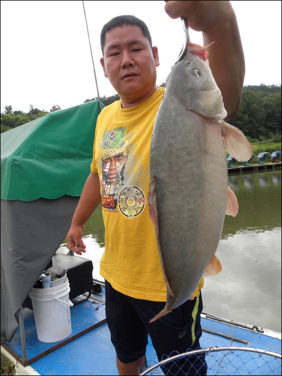 7월휴가철주말을신나게 (유료터정보 - 유료터점주조황)