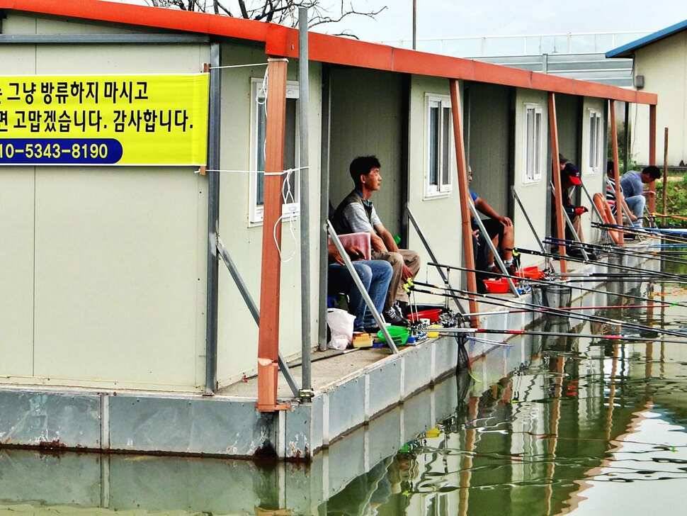 경기도 포천 쌍방죽낚시터 주중소식 (유료터정보 - 유료터점주조황)