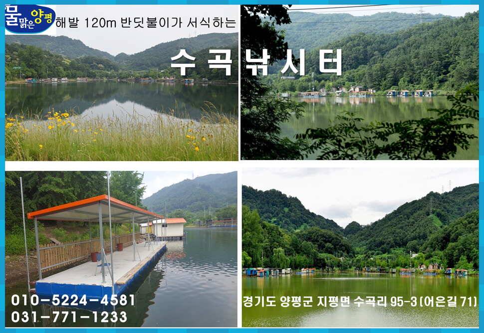 양평 수곡낚시터 10월 첫주 주중조황 안내 (유료터정보 - 유료터점주조황)