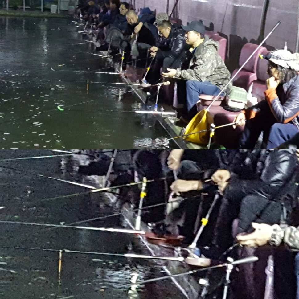 괴물 (유료터정보 - 유료터점주조황)