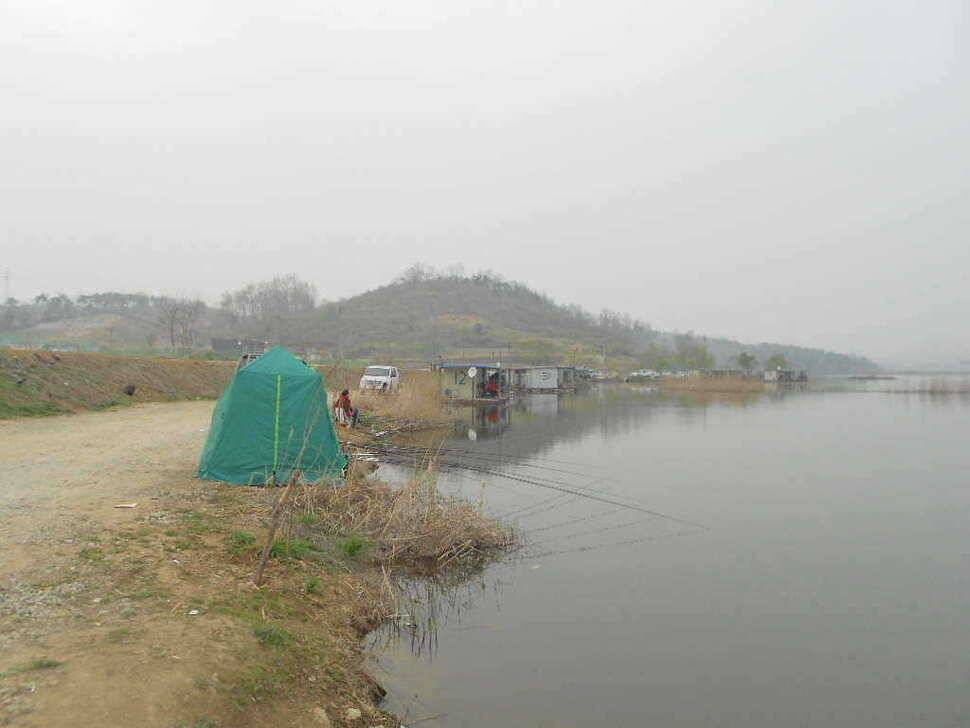당진 가교리지 토종 대물 조황화보 (유료터정보 - 유료터점주조황)