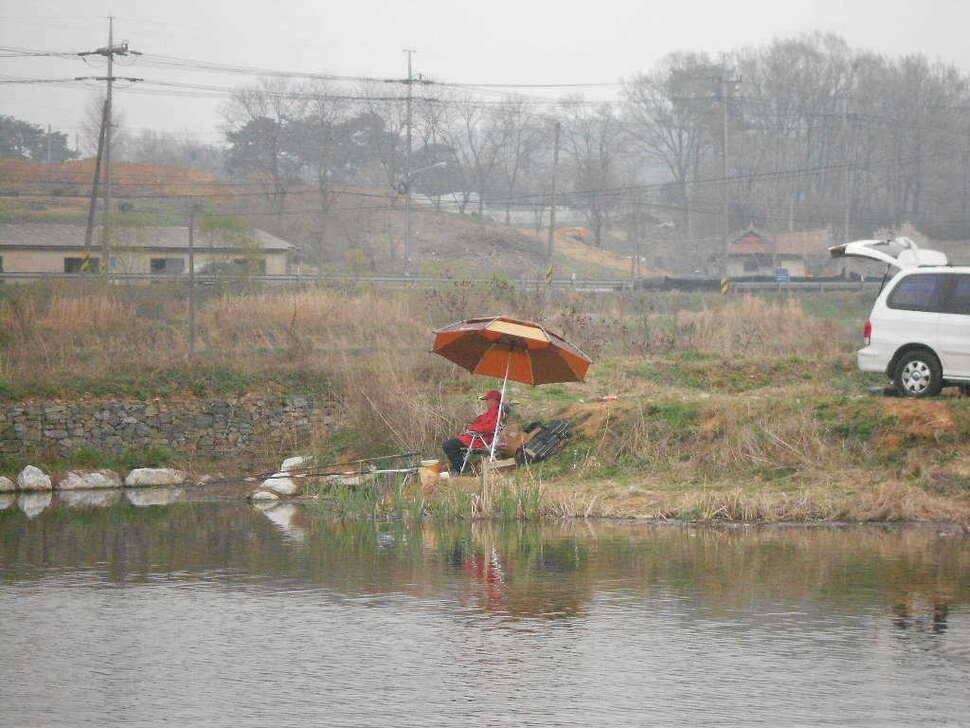 당진 가교리지 토종 대물 조황화보 (유료터정보 - 유료터점주조황)
