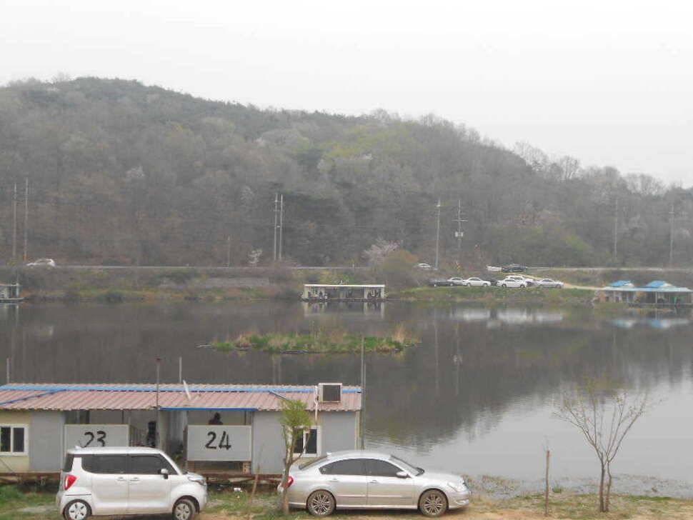 당진 가교리지 토종 대물 조황화보 (유료터정보 - 유료터점주조황)