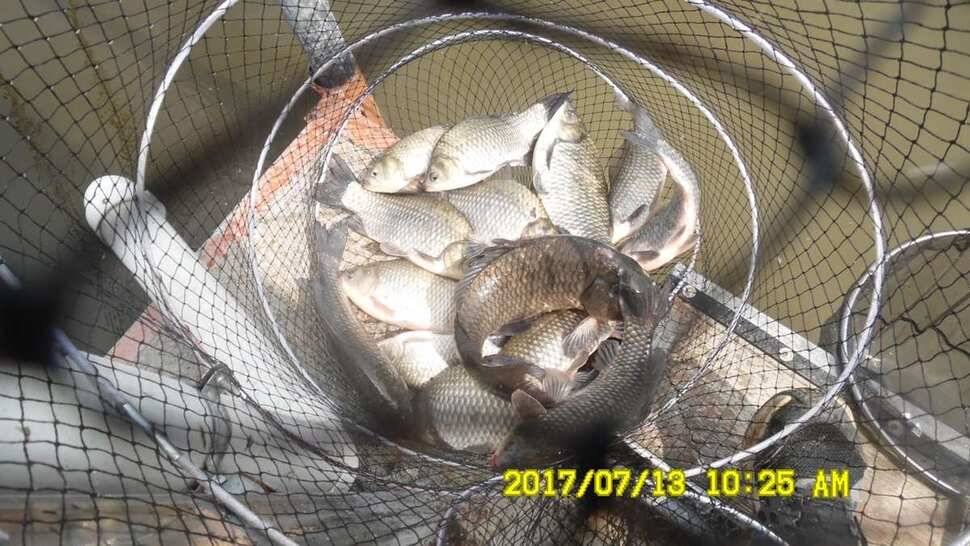 오름수위 반제지 대박 (유료터정보 - 유료터점주조황)